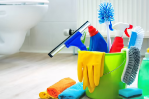 Messie Reinigung Frechen